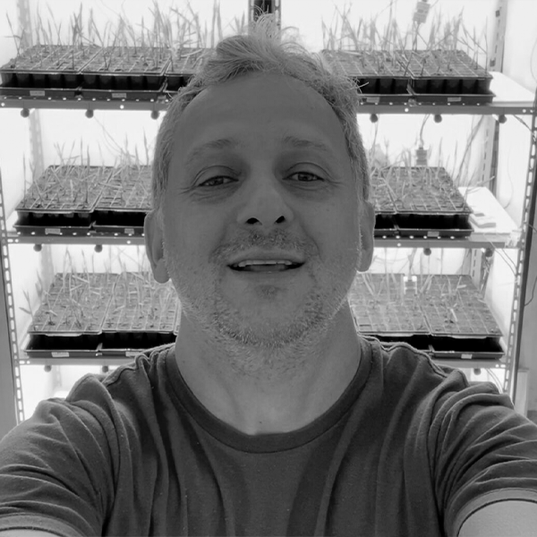 Luis Felipe Vilane Purquerio